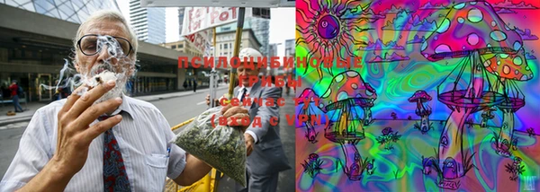 хмурый Алексеевка