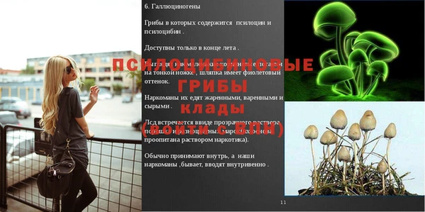 стаф Алексин