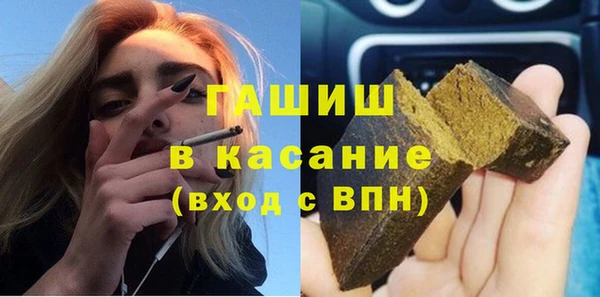 стаф Алексин
