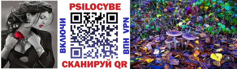 маркетплейс как зайти  магазин    Кирс  Галлюциногенные грибы прущие грибы 